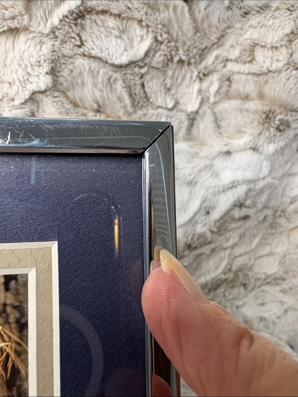 Burnes Silver-Tone 5x7 Photo Frame with Navy Mat